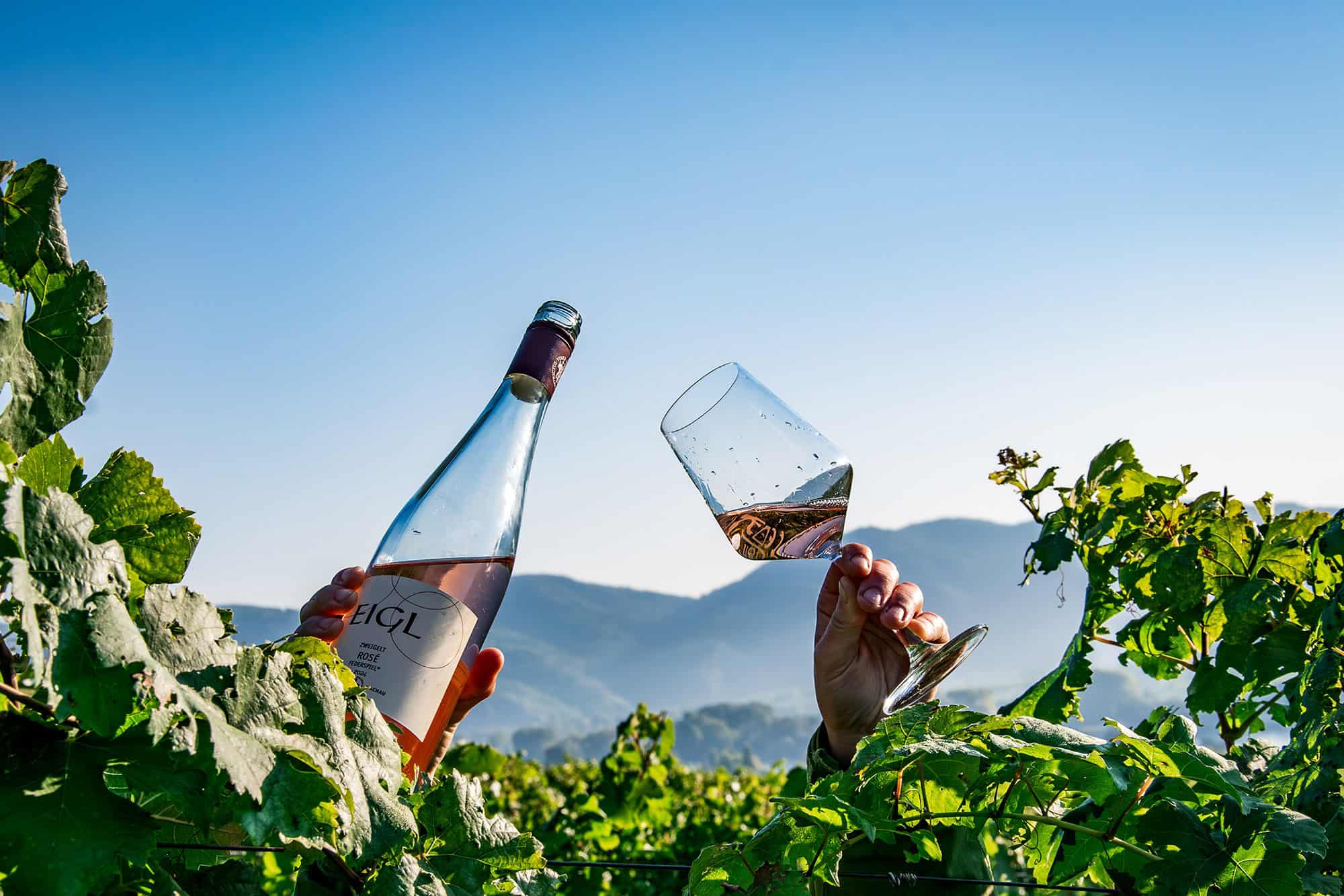 Weingut und Heuriger Eigl